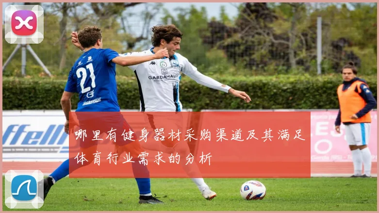 哪里有健身器材采购渠道及其满足体育行业需求的分析