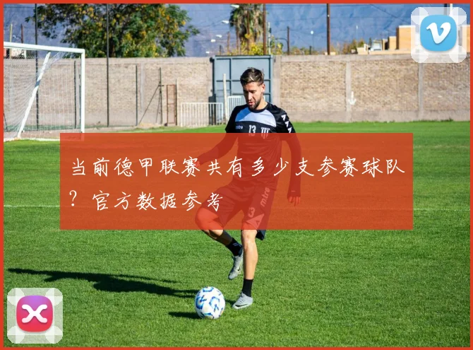 当前德甲联赛共有多少支参赛球队?官方数据参考