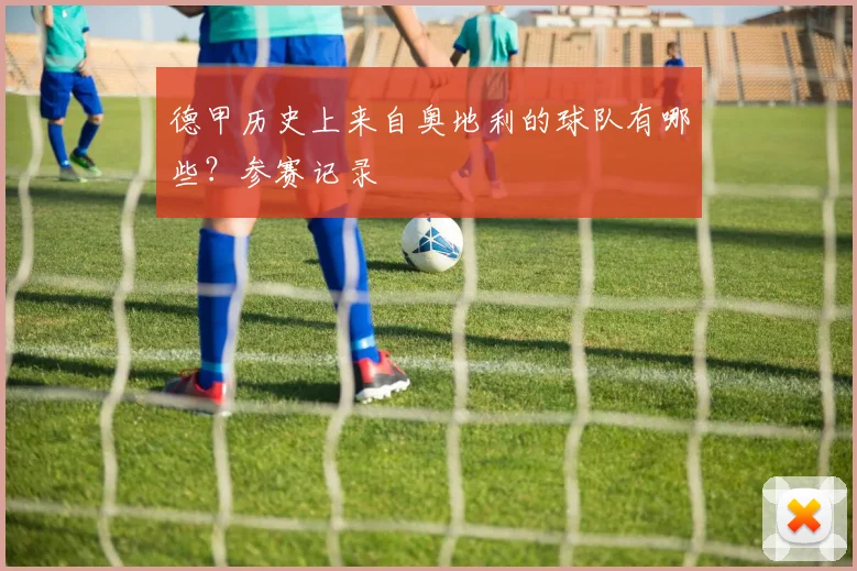 德甲历史上来自奥地利的球队有哪些?参赛记录